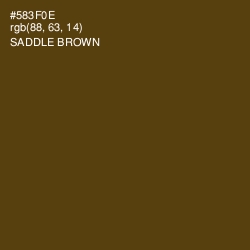 #583F0E - Saddle Brown Color Image